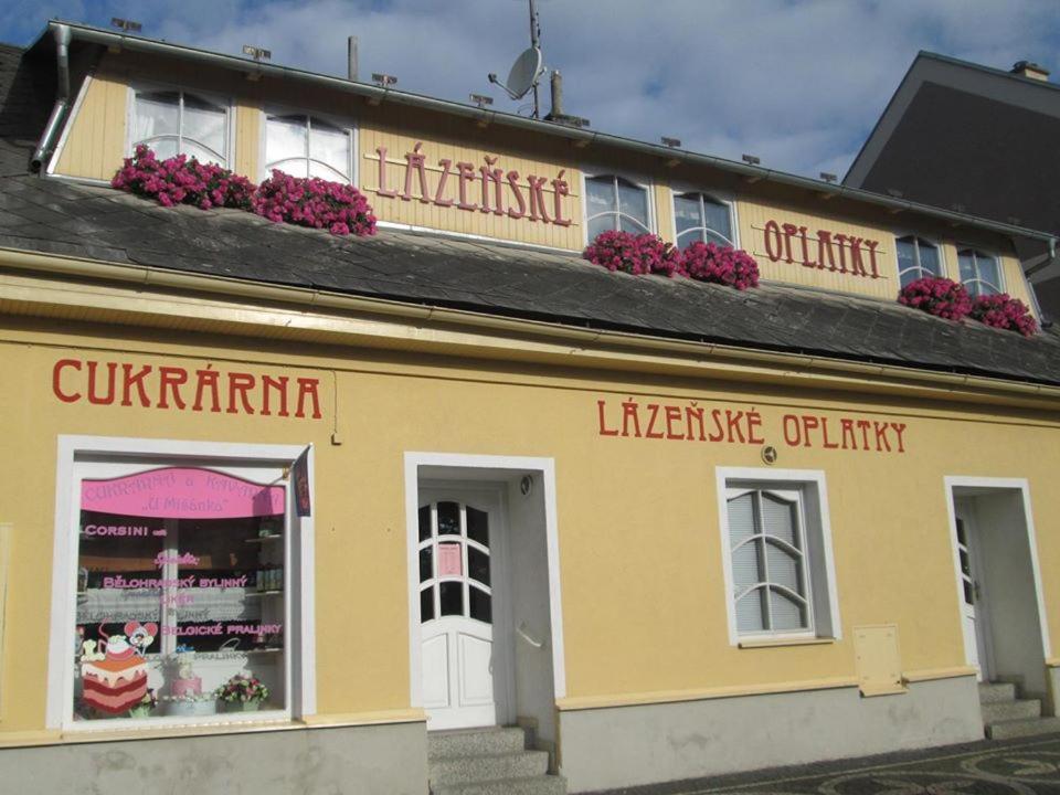 Penzion Petra Łaźnie Bělohrad Zewnętrze zdjęcie