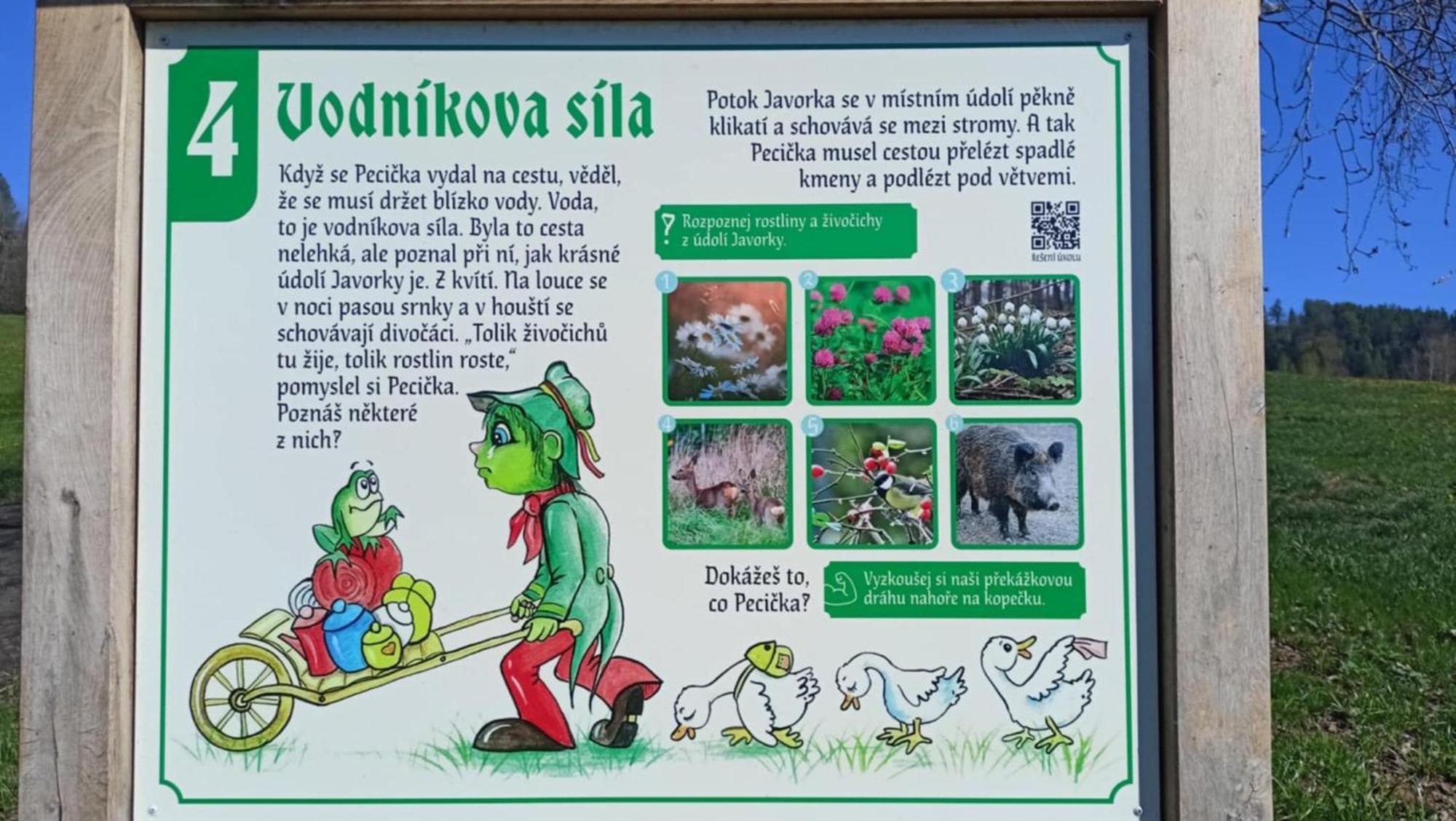 Penzion Petra Łaźnie Bělohrad Zewnętrze zdjęcie
